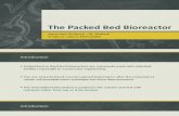 The Packed Bed Bioreactor Final