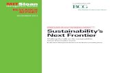 55281 MITSMR BCG Sustainabilitys Next Frontier 2013