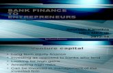 Bank Finance to Entrepreneurs