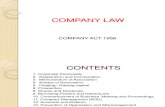 Company Law Common Lecture for All