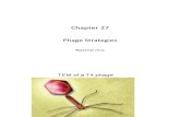 #15 Ch 27_Phage Strategies