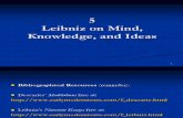 Leibniz on Mind Knowledge and Ideas