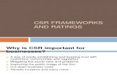 CSR Frameworks and Ratings (1)
