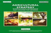 Agricultural Strategy: International Experience and Lessons for Georgia