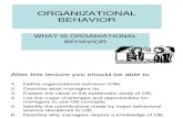 1 -Introduction to Ob organisational behaviour