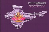 Dhanlaxmi Anual Report 2011 2012