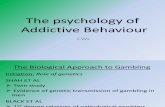 The Psychology of Addictive Behaviour...khyxtdrzwxetrcytvubyiunoimiknoubyiutvcrytxecrfyvubyiunoim