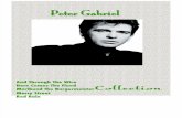 Collection Peter Gabriel 31 PVC