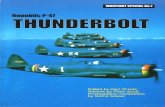 P-47 Thunderbolt [Warpaint Special 1]