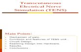 Transcutaneous Electrical Nerve Stimulation (TENS)_to Print