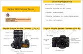 Basics - Digital Camera