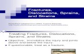 EDP-14_Fractures Dislocations Sprains and Strains_JM