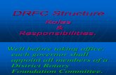 DRFC Structure