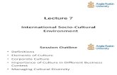 International Soco-Cultural Environment
