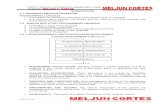 MELJUN CORTES MANUAL Programming Languages Compiler CSCI19