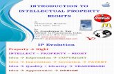 1817385194 Introduction to IPR