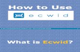 Lyn Nafarrete How to Use Ecwid