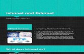 Report Intranet and Extranet