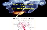 Brain Aneurysms Av Malformations 12263