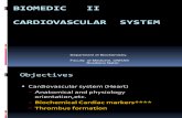 Biomedic II Cv-system