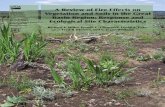 A Review of Fire Effects on Vegetation and Soils in the Great Basin Region: Response and Ecological Site Characteristics