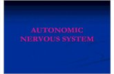 AUTONOMIC NERVOUS SYSTEM.ppt