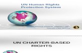 UN Human Rights Protection System