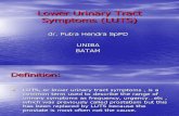 Incontinentia Urine Kuliah Uniba 6-11-12. a Ppt