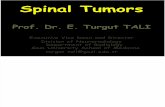 Spinal Tumors Intra-Extra ( Turgut Tali)