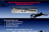 Self Balancing SkateBoard