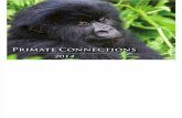 Primate Connections Calendar 2014