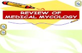 Mycology - Mine