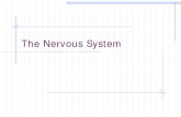 Nervous System,Vision,Hearing