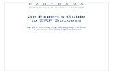 An Experts Guide to ERP Success Introduction