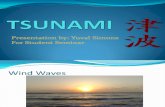 Physics of tsunamis presentation