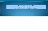 fitness cycle.ppt