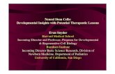 Stem Cells and Regenerative Medicine: Commercial Implications for the Pharmaceutical and Biotech Industry