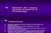 Module A2 Anatomy of Upper Airway.ppt