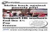 Socialist Party leaflet for Higher Education Strike 31/10/13