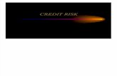 credit risk loan portfolio management
