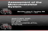 musculoskeletal assessment.ppt
