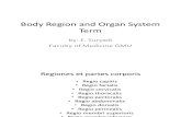 Body Region and Organ System Term.ppt