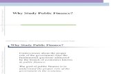 Public Finance Gruber 3rd Edition Lecture 1