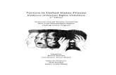 torture-in-us-prisons  2nd edition