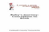 CC Teens4Life Baby Development Pamphlet