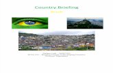 Country Briefing - Brazil