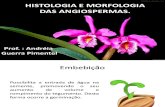 Histologia e Morfologia Das Angiospermas