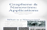 Graphene and Nanowires--Petar Petrov and Kevin Babb.ppt