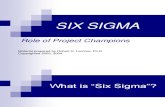 Six Sigma - Rolul campionilor de proiect