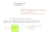 Digital Video Signal